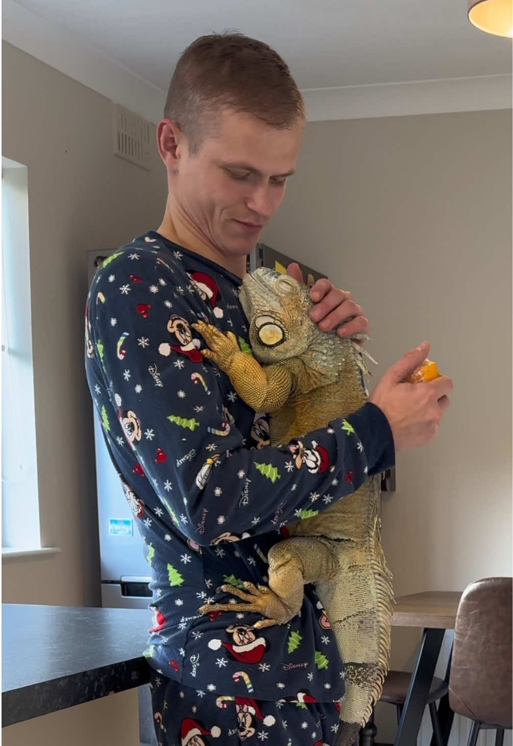 He didn’t come for the orange , he came for the cuddles 🥰 #petlover #pets #fyp 