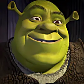 What’s better? #cartoon #edit #shrek 