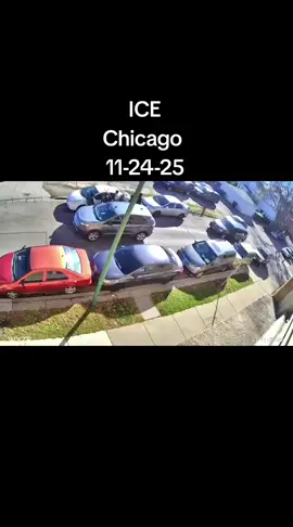 ICE Chicago  11-24-25 #fyp #ice #immigration #shorts #chicago 
