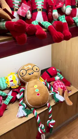 Doar o imbratisare anu asta ca alocatiile nu au mai crescut 🥴🥴 #sushi #sushithexl #xlbully #americanbully #dogsoftiktok 