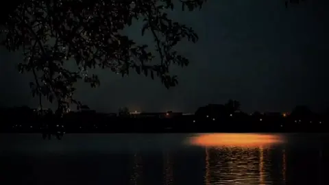 #الشيخ_الشعراوي 