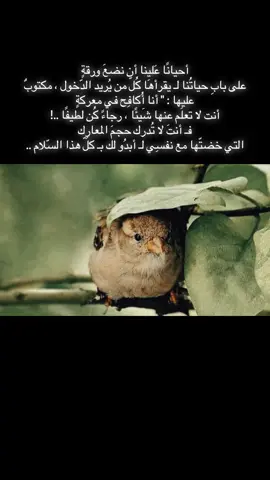 أحيانًا عَلينا أن نضعَ ورقةٍ على بابِ حياتُنا لـ يقرأهَا كُلّ من يُريد الدّخول ، مكتوبٌ عليها : 