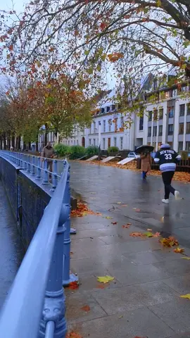 #بلجيكا🇧🇪_بروكسيل_المانيا_فرنسا_هولندا 