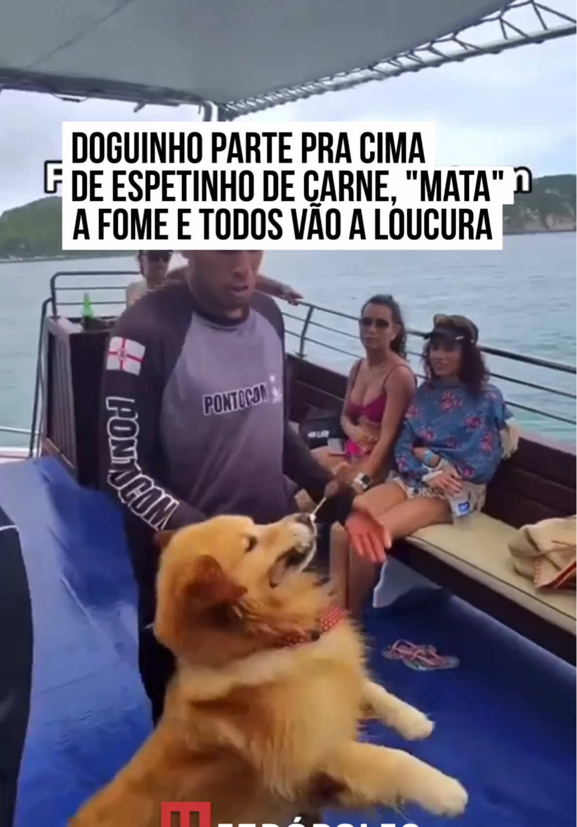 🐶🤣🍖 Um doguinho cheio de personalidade decidiu que o passeio de barco precisava de um sabor extra.  Assim que avistou os espetinhos de carne, não perdeu tempo: partiu direto para cima deles, pegando o que conseguia com aquela clássica carinha de “não fui eu” que só cachorro sabe fazer. A cena foi tão inesperada quanto engraçada, arrancando risadas de todos a bordo. Enquanto o pessoal tentava salvar os espetinhos ou ao menos impedir a “operação carne”, o golden parecia viver o melhor momento do dia. #entretênews 📹 donjuantour (ig) | @myhoodbr