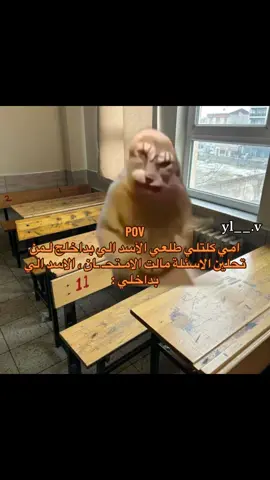 أهااا🗿💃🏼💃🏼#رياكشنات #فيديوهات #مقاطع_ضحك #ترند #منشن 