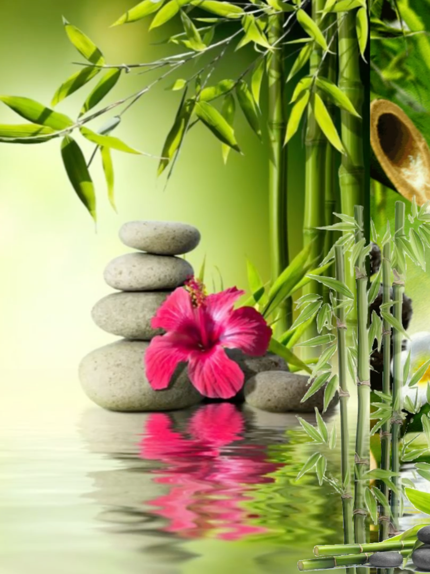 help im obsessed with this aesthetic #moodboard #fyp #aesthetic  #2000s #frutiger #zen #spa