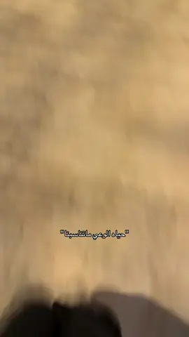 #السفارات #fyp #explore #n4 