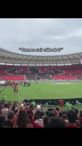 Tá entendendo 🤬👊🏽❤️🖤#flamengo #Libertadores #final #sabado #palmeiras 