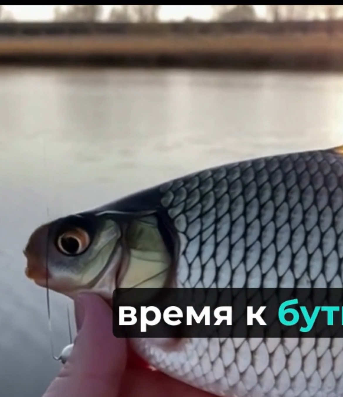 Саня прости )Рыбалка с другом ,ловля карасей карпов и других рыб .Песенка для друга .Утро ,берег ,рыбы и приколы  #sanyafisher #рыбалка #песня #хочуврекомендации #рибалка 