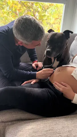 Solo pido dos cosas: que seas del Madrid y que te gusten los perros 🤍 