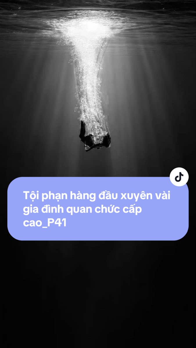 || P41 || Tội phạm hàng đầu xuyên vào gia đình quan chức cấp cao #xuhuong #xuhuongtiktok #viral #audio #trinhtham 
