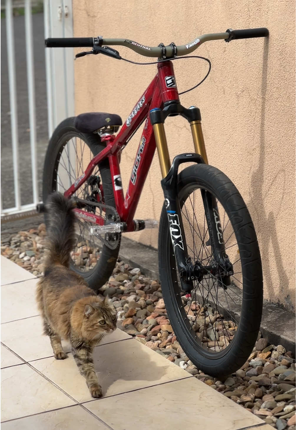 Antes de pensar em 😔💦 #grau #244 #gios #vikingx #hupi 