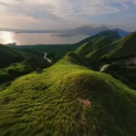 #يا_أيها_الطائر_قاوم_الرياح#سبيستون_قناة_شباب_المستقبل🖤🥰 #pinterest #inshot #شكرا_على_دعمكم💖 