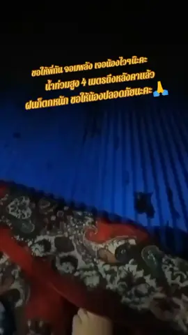 💥 ขอให้พี่กันต์ จอมพลัง เจอน้องไวๆน๊ะคะ 🙏 ขอให้น้องปลอดภัย น้ำท่วมสงขลา หาดใหญ่  มีคนติดบนหลังคาน้ำท่วม 4 เมตร ตากฝน #ผู้ประสบอุทกภัยน้ําท่วม #กันจอมพลังช่วยสู้ #มูลนิธิกันจอมพลังช่วยสู้ #กันจอมพลัง #หาดใหญ่สงขลา 