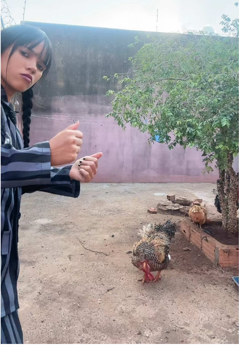 Ele me olha com tanto carinho 😍😘 #wandinha #wednesday #merlina 