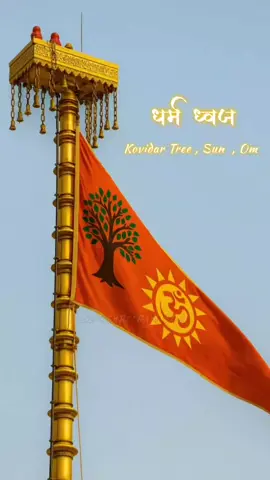 धर्म ध्वज 🚩🙏.... #ayodya #ramandir #namobharat189 