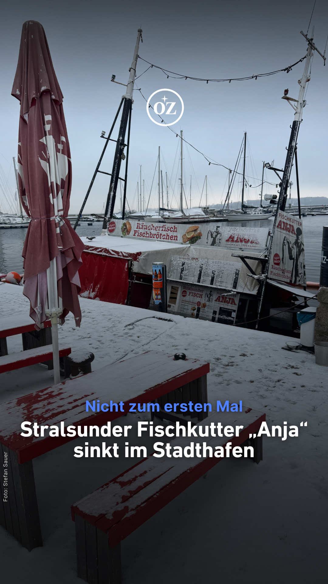 👋 Der Fischbrötchenkutter „Anja“ ist am Montag (24. November) im Stralsunder Stadthafen gesunken. 👀 Mitarbeiter der Reederei „Weiße Flotte“ bemerkten gegen 10 Uhr, dass das Schiff Schlagseite hat. Sie verständigten umgehend das Stralsunder Hafenamt. 📞 „Innerhalb einer halben Stunde ist der Kutter dann gesunken“, so ein Augenzeuge der Reederei. 🚒 Die ersten Sicherungsmaßnahmen schloss die Stralsunder Feuerwehr bereits kurz danach ab. Nach bisheriger Planung wird die „Anja“ mit einem Schwerlastkran wieder gehoben. Das genaue weitere Vorgehen soll am Dienstag geklärt werden. 💬 ℹ️ Das Schiff sank nicht zum ersten Mal: Bereits 2019 kam es zu einem vergleichbaren Vorfall. Seinerzeit war eine Planke unterhalb der Kajüte gebrochen und Wasser ins Innere eingedrungen. Die Bergung gestaltete sich aufwendig. Bevor ein Schwerlastkran den Unglückskutter aus dem Wasser hob, wurde er in den zwei Kilometer entfernten Seehafen geschleppt, wo zunächst der Rumpf untersucht wurde. 🔍 Ein weiterer Vorfall ereignete sich 2021: Damals stieß das Fahrgastschiff „Gellen“ beim Ablegen rückwärts gegen den vertäuten Fischkutter. Dabei wurden zwei Frauen verletzt, die im Imbiss arbeiteten. Beim Aufprall stürzten sie und erlitten Verbrennungen durch heißes Fett aus der Fritteuse. 📍🍔 Der 1965 gebaute Holzkutter ist etwa 40 Tonnen schwer und liegt seit den 1990er Jahren als schwimmender Imbissstand im Stadthafen. Sein Standort ist am nördlichen Ende der Hafeninsel vor dem Restaurant „Fischermänns“. #stralsund #blaulicht #schiff #gastro
