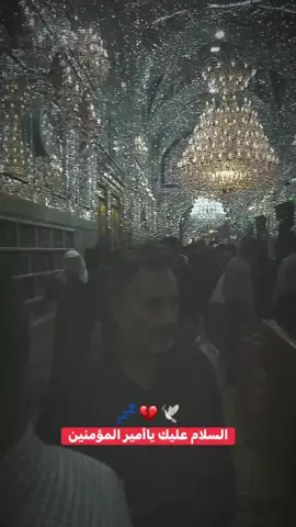السلام عليك يا اأمير المؤمنين  #النجف_الاشرف #مرقد_الامام_علي_عليه_السلام  #كربلاء_مدينة_العشق_والعاشقين  #اصاطير_الجن_الاخطر_حول_العالم  #الشطرة_ولايتي 