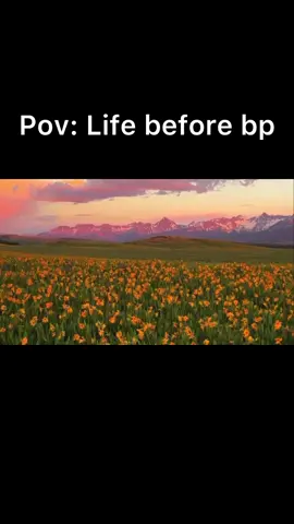 Life was better #pov #before #fyp #reall #bp 