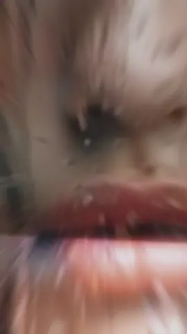 #alexstihl #music #2025 