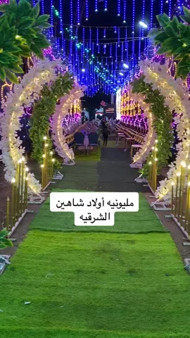 #مليونيه أولاد شاهين #التحفهًً،اعلى_شركه_ديكورات_فى_مصر #01024187977 #شركه_التحفه_للكوش_والديكورات✌️ #الشعب_الصيني_ماله_حل😂😂 