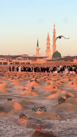 السلام عليك يا فآطمه الزهراء . . . . . #فاطمه_الزهراء #محمد_باقر_الخاقاني 