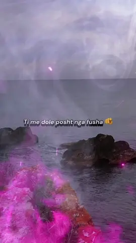 Moj neperka pika pika 🌻@￶⭕️✈︎ＰＩＸＥＬ #xhani #albaniasongsforyou #viralvideo #fyppppppppppppppppppppppp #🇦🇱🇧🇪🦅 