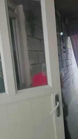 ولدنا ☠️ مشتقلكم #تيم_الشيخ_مصطفى🔥✨ 