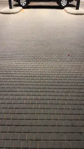 ا ه ه ١٠ 😋❤️‍🔥❤️‍🔥. ‏ ##سيرا_سبايسي🔥##الشتاء##بريدة