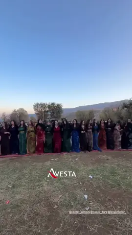 #keşfet #şemdinlidüğünleri #kurdish #halay #fyppppppppppppppppppppppp @Hozan_İzzet Şemzini 
