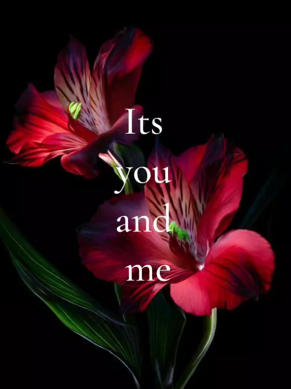 otro de los ships q me gustan, la vd- hare mas de este 😭 #solarballs #venus #mercury #viral #parati 