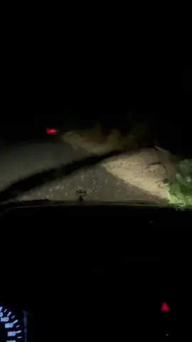 حوران🩶.#اكسبلور #foryou #اكسبلورexplore #ترج #مافيني_حيل_احط_هاشتاقات 