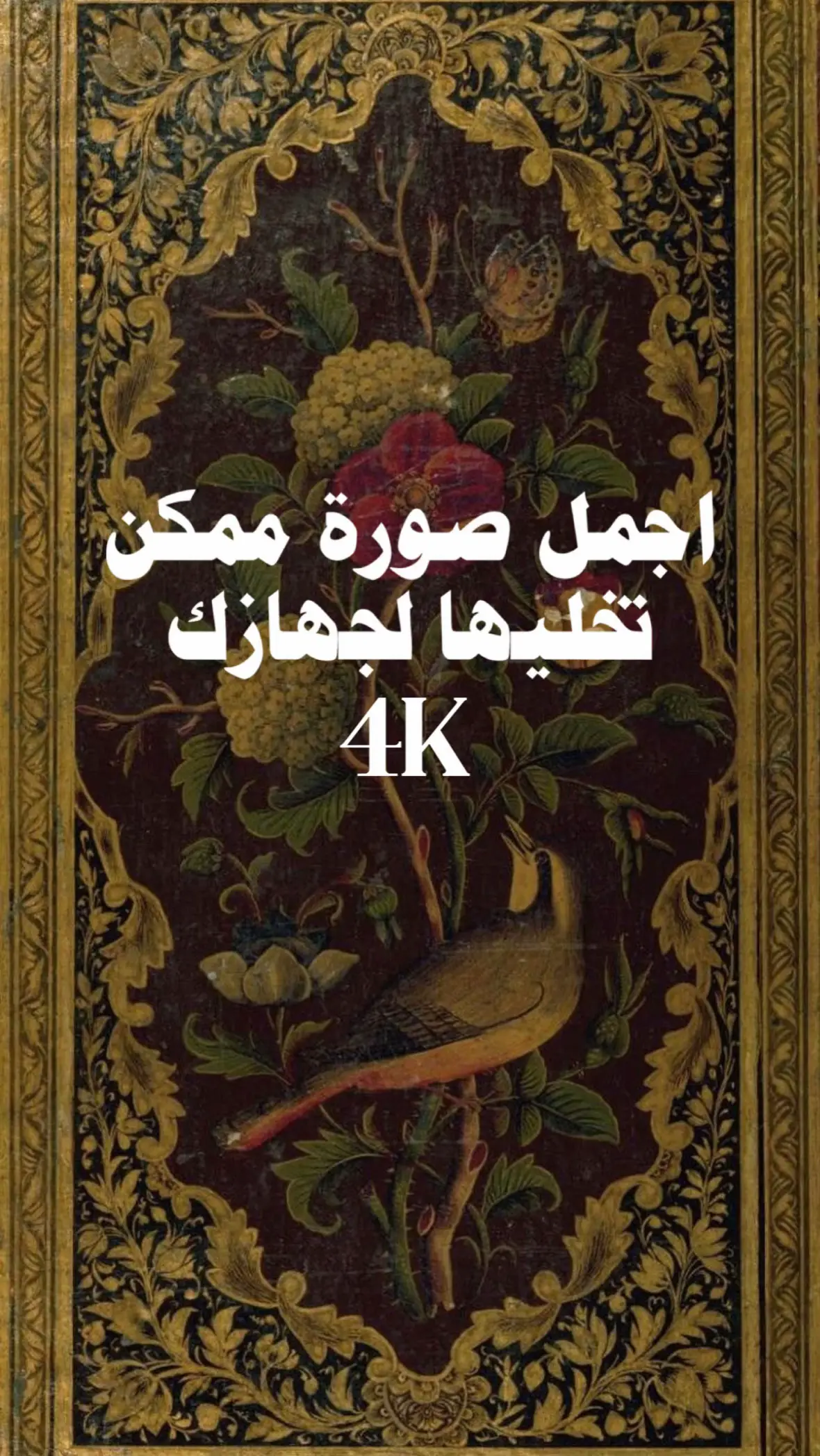 #خلفيات #قران_كريم #الامام_الحسين_عليه_السلام #باسم_الكربلائي #s2zxa 