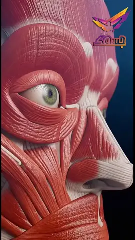 #سبحان الله الخالق العظيم # #سبحان الله رب العرش العظيم # #سبحان الله رب السماوات والأرض# #لاالله_الا_الله محمد رسول الله # #سوريا_تركيا_العراق_السعودية_الكويت 