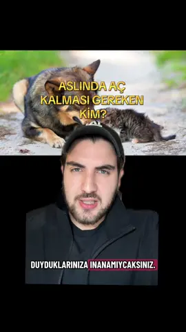 Merhamet edenlere Rahman merhamet eder. Yerdekilere merhamet edin ki göktekiler (melekler) size merhamet etsin. #köpek #sokakhayvanları 