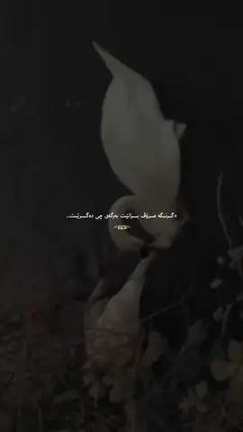 #foryou #fypシ゚ #viralvideos #foryoupage #explore 