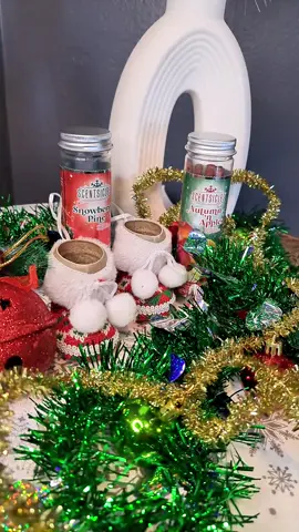 SCENTSICLES “Aromas que llenan tu hogar con la magia de la temporada. Los Scentsicles transforman cualquier espacio con frescura y calidez.” #Scentsicles #HomeFragrance #FreshAroma #CozyVibes @wearerocky_ @scentsicles #MayEarnRockyDollars