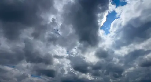 #هاشم_ساده_الدنياا✨🌿#القصيده_دمار🕊♥ #تصويري_احترافي_الاجواء👌🏻🕊😴 #الشعب_الصيني_ماله_حل😂😂🏃🏻‍♀️ #مجرد_ذووقツ🖤🎼 