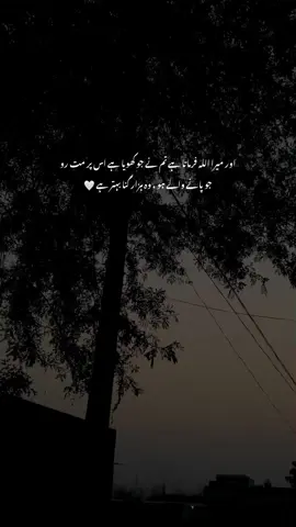 🌚🤍 |#ziroox #fyp #foryou #foryoypage #urdupeotry 