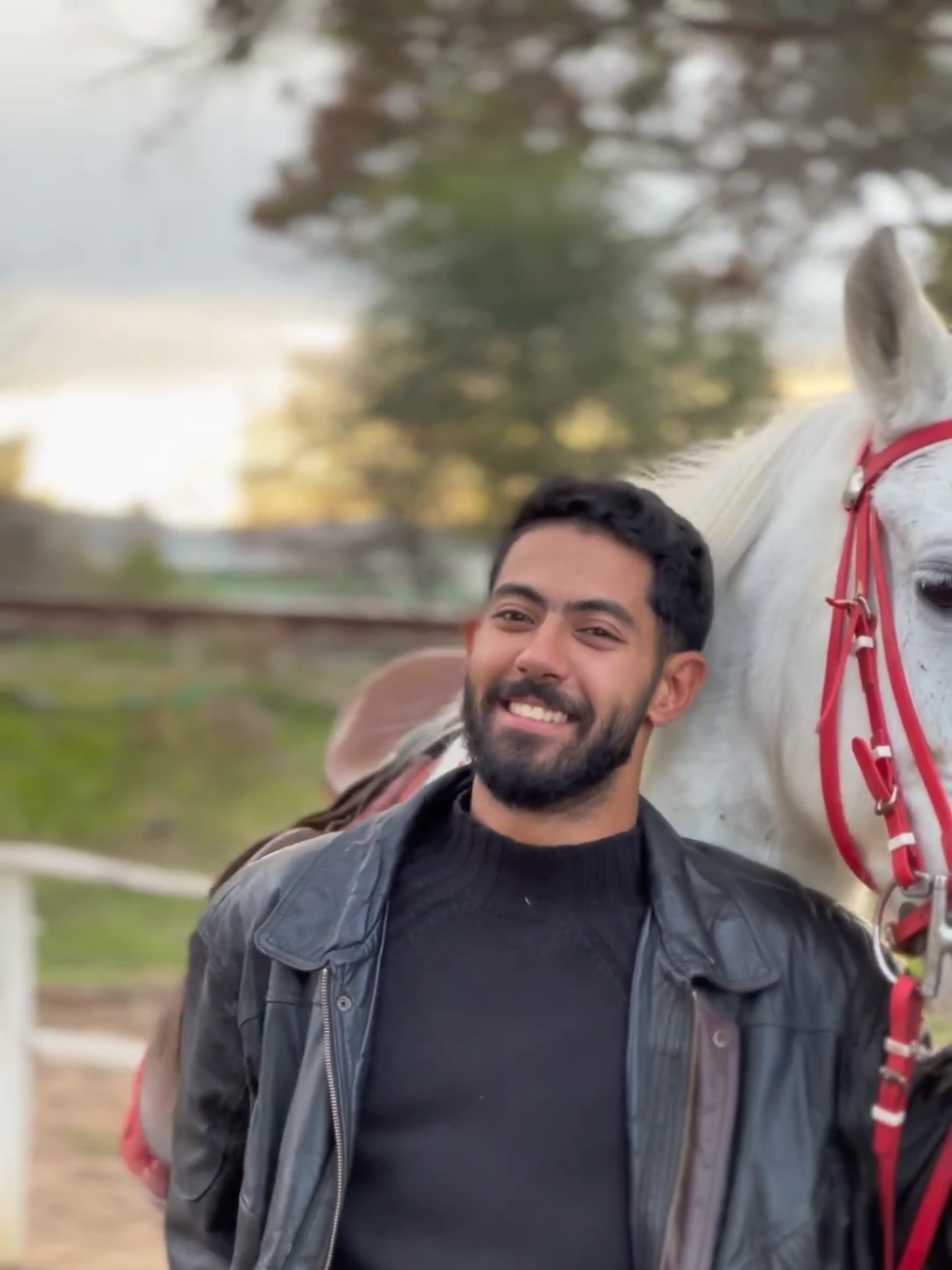 addicted to horses ❤️‍🩹 . . . #shakira #horses 