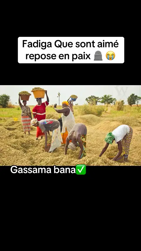 #vues #soninkara🇸🇳🇲🇱🇲🇷🇬🇲🇬🇳 #tiktokfrance #tiktokmali🇲🇱223 #tiktokmali🇲🇱223 @Gassama bana 2 @l'enfant de diafounou yaguine @Modi Diakité ❤️💪 
