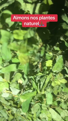 #94_86_26_00 #🇲🇱 