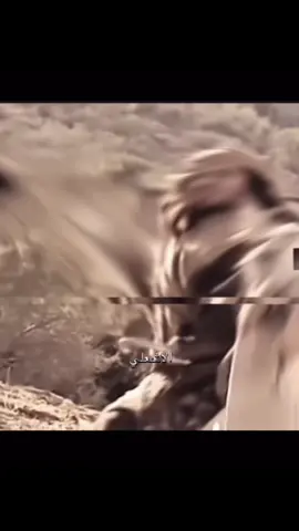 فعلها ابن مره 🔥. #الزير_سالم #جساس #كليب #اابن_عباد #المهلهل_التغلبي📚🏴 