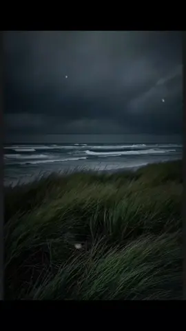 #CapCut #قران #Quran #fyp 