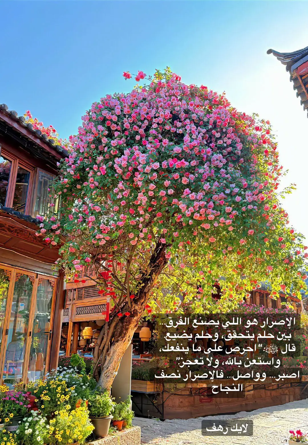 ‏الإصرار هو الذي يصنع الفرق #fypシ゚  #foryou #fyp #creatorsearchinsi  #fyppppppppppppppppppppppp  @رهف @رهف @رهف 