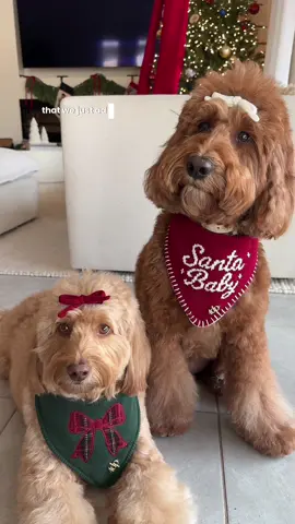 eeep obsessed with these new styles 🥹♥️😭🎄 