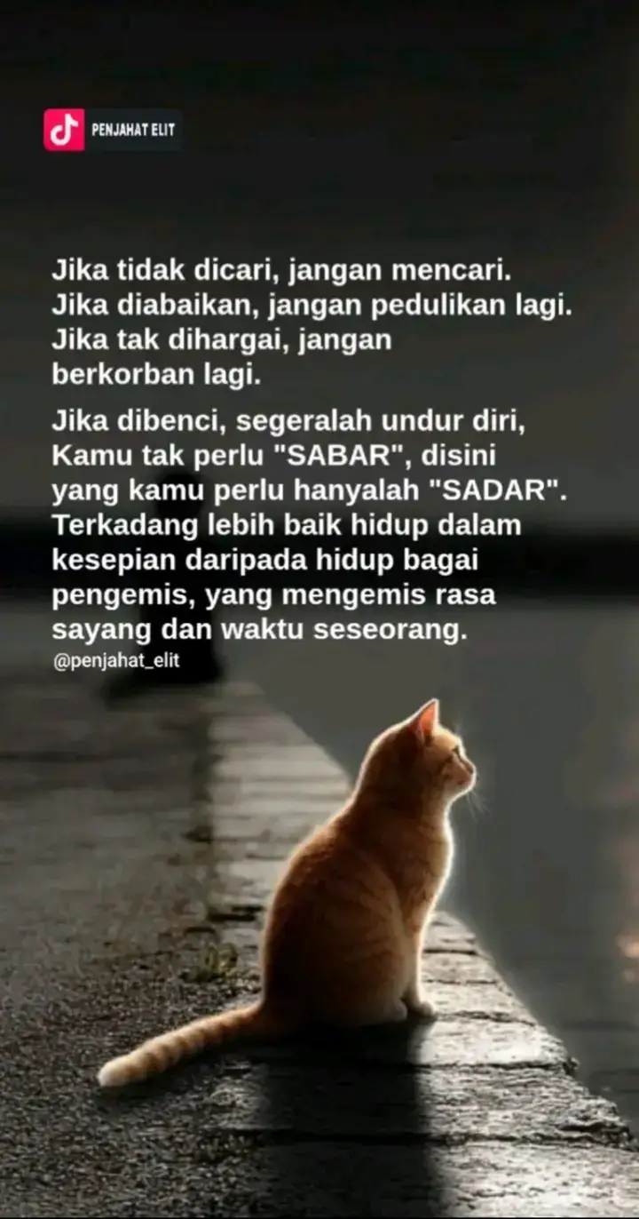 #musik #katakata #fypage 