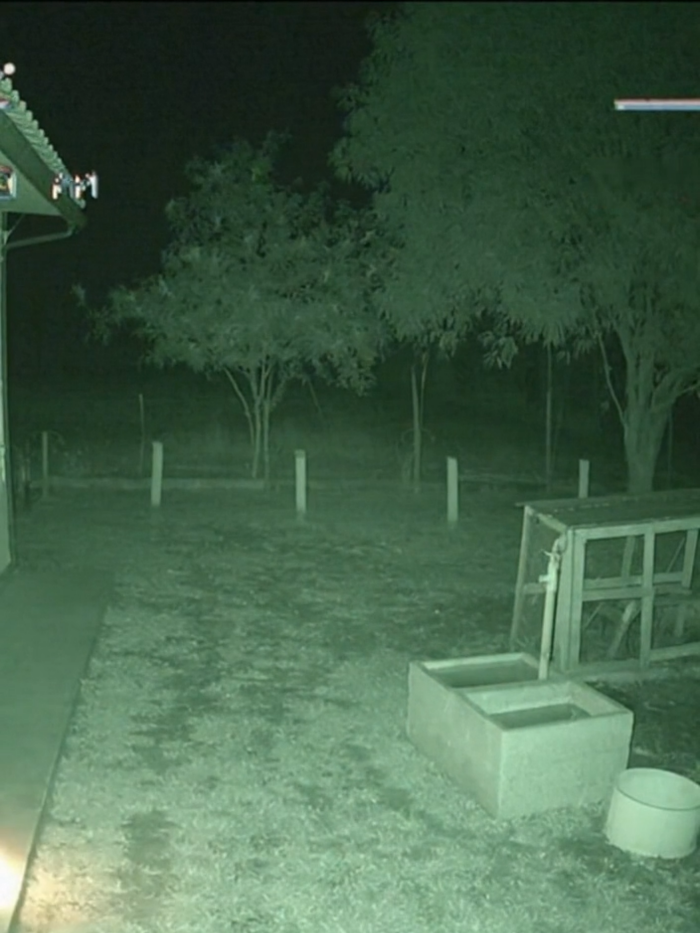 Minha camera noturna do sitio flagrou isso, ja tinha ouivdo falar mais achava que era lenda #cctv #cctvcamera #viralvideo #viral #animaisnotiktok #sobrenatural