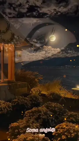 _لن نجد أفضل من إختيارات _🤍الله #روائع_الكلام #عبارات #مساء_الحب_والسعادة🤍 #soma🌿angel 