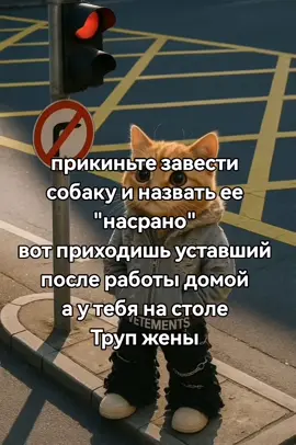 Ес чо не сам придумал @смертоносный гей спасибо за идею✌️😄